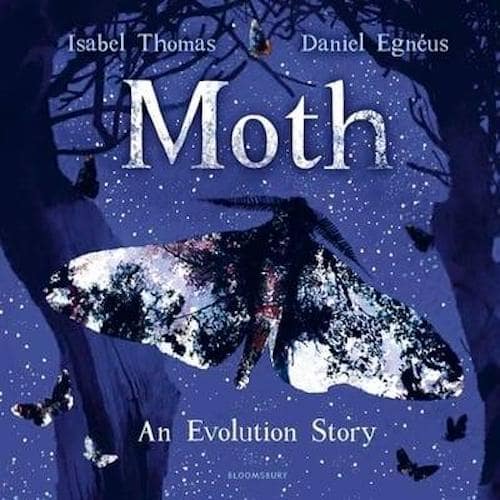 Moth An Evolution Story non-fiction book for children